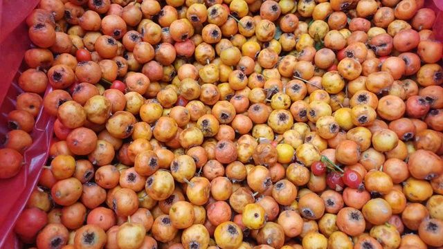 Dağda kendiliğinden yetişiyor! Fındık kadar küçük ama fiyatı 150 TL