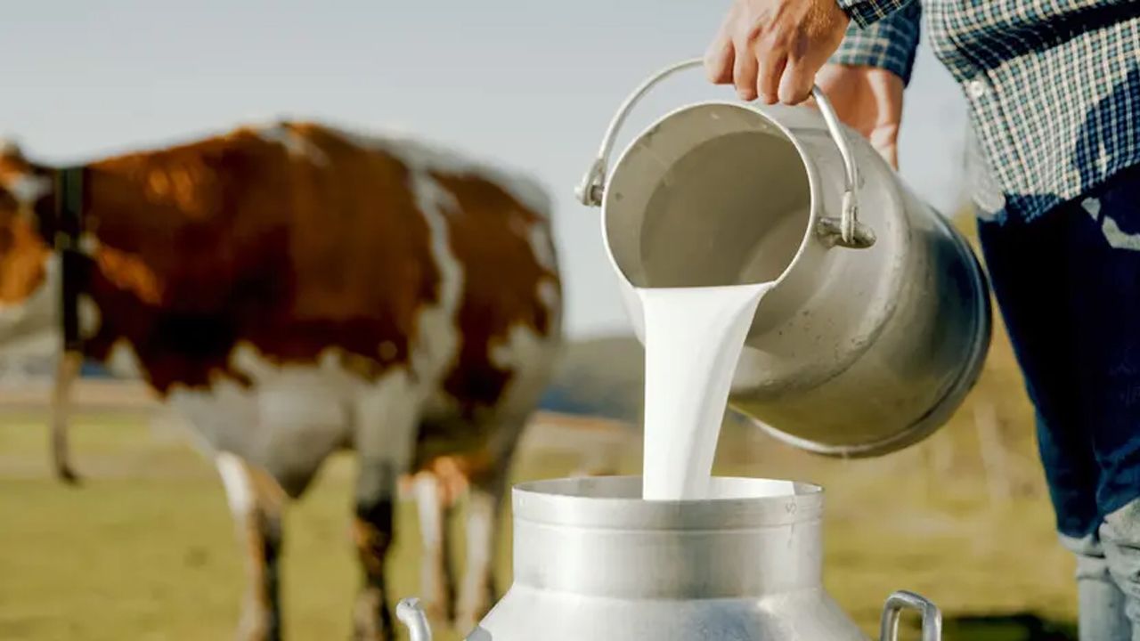 “Daha sağlıklı” sanılıyordu! Çiğ süt için yeni uyarı