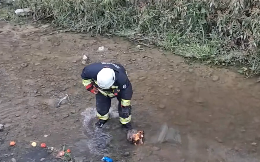 samsun haber Samsun’da panik dolu anlar! Piknik tüpü alev aldı