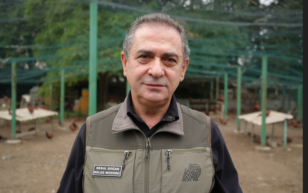 Samsun haber: Samsun’da fındığın düşmanına sülünlü mücadele