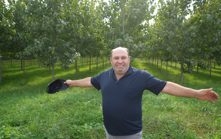 Samsun haber: Samsun’da ova değişiyor! Sebzenin yerini fındık aldı