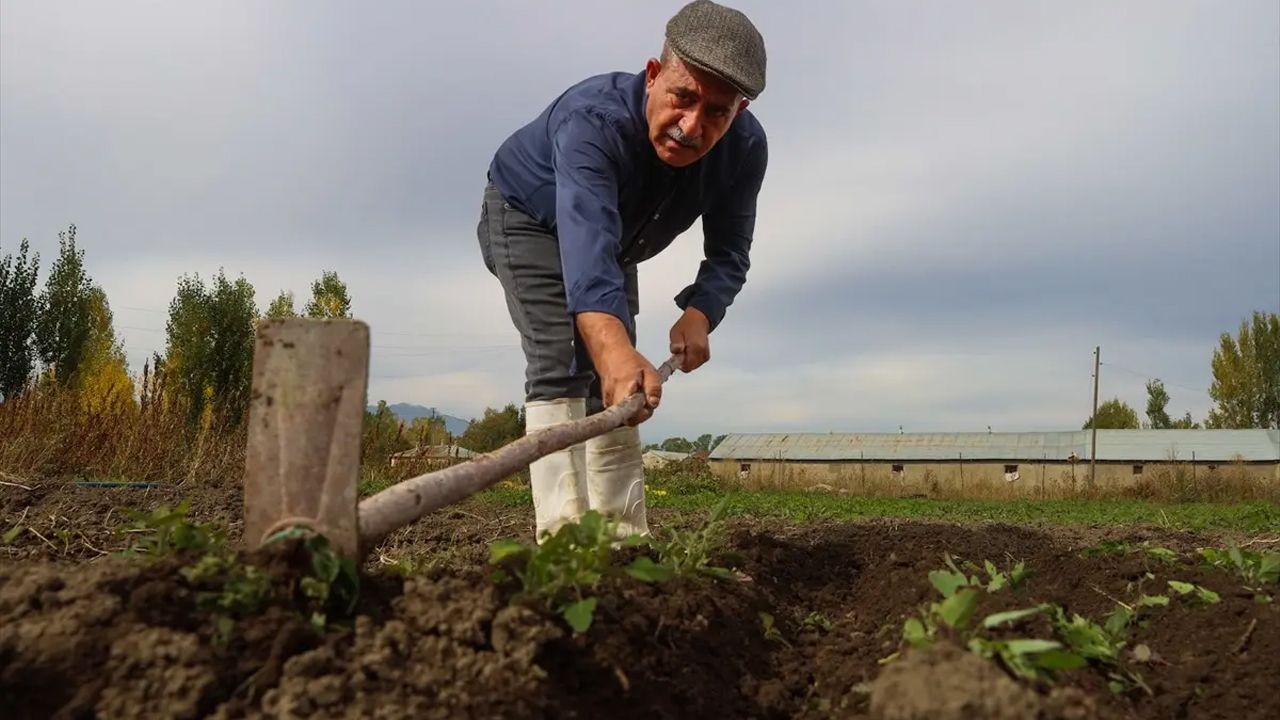 Esnaflığı Bıraktı Bu Işe Girdi! Kilosu 950 Bin Liraya Satılıyor