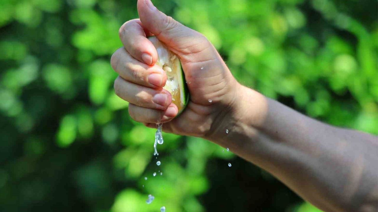 Fiyatı 5 liraya düştü, Karadeniz kapalı olduğu için ihracat yapılamıyor