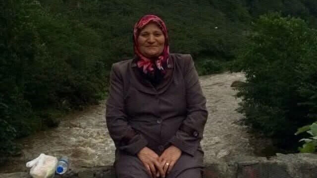 Giresun Bulancak Ta Findik Bahcesinde Dusen K 20315367 Amp (1) 1280X720