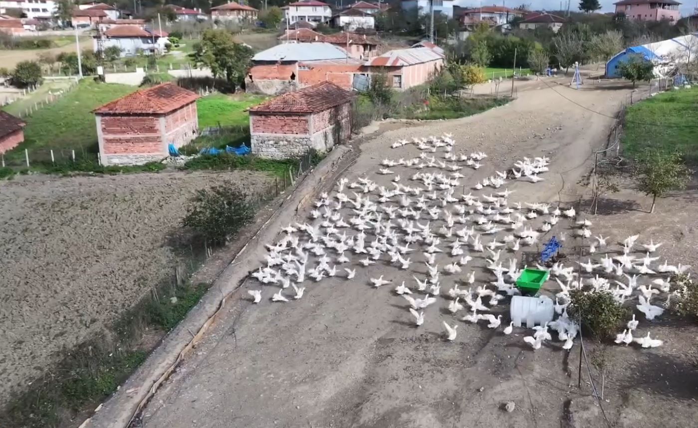 Samsun Haber: Samsun’da şehirden köye dönüş hikayesi! 4 yılda 600 kaza ulaştılar