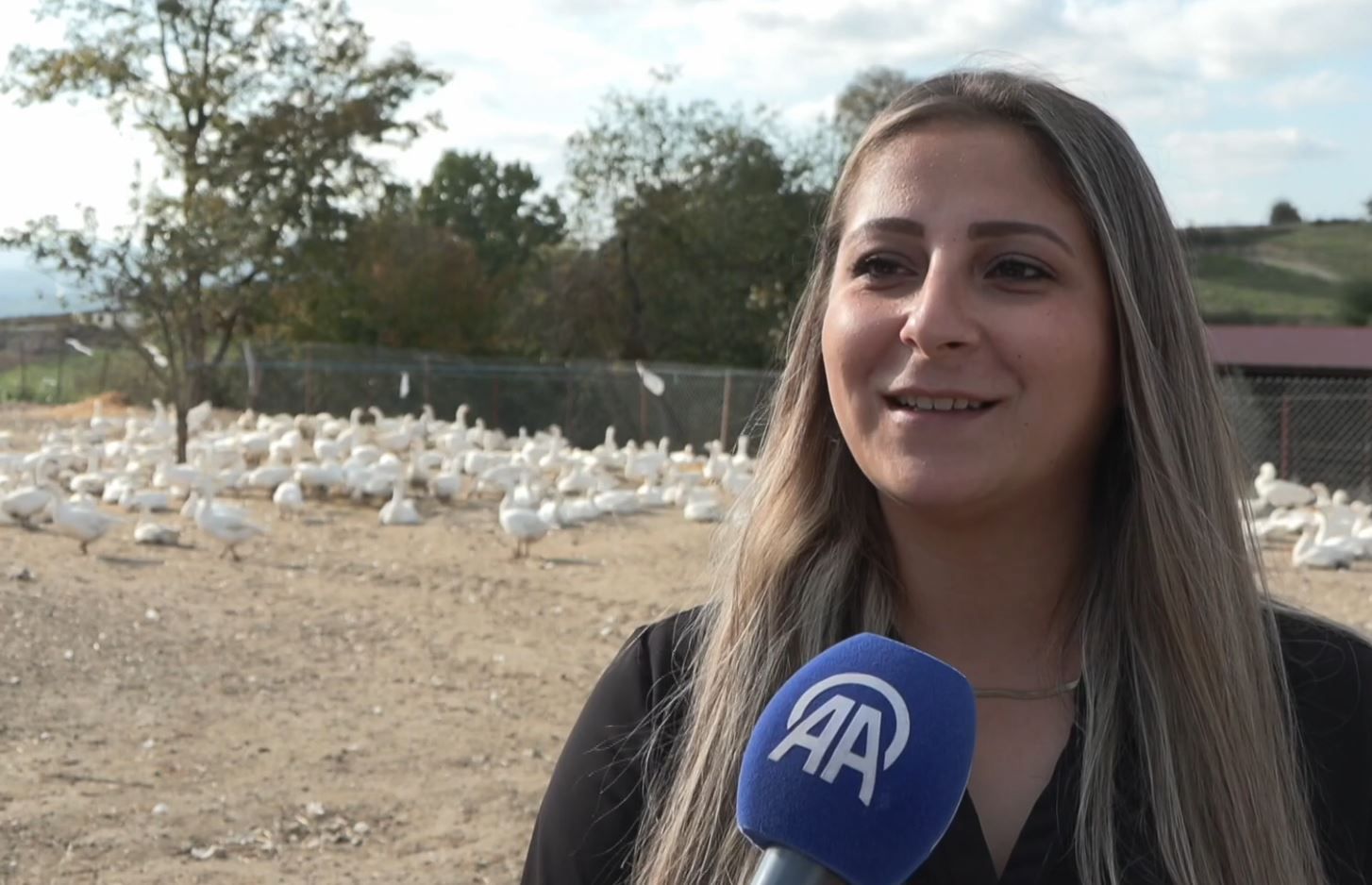 Samsun Haber: Samsun’da şehirden köye dönüş hikayesi! 4 yılda 600 kaza ulaştılar