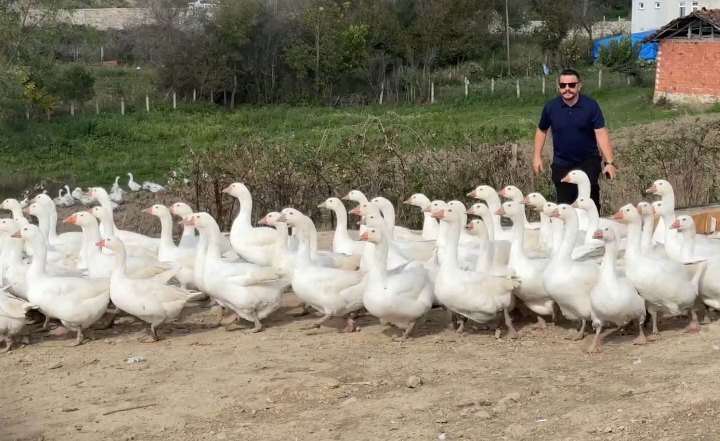 Samsun Haber: Samsun’da şehirden köye dönüş hikayesi! 4 yılda 600 kaza ulaştılar