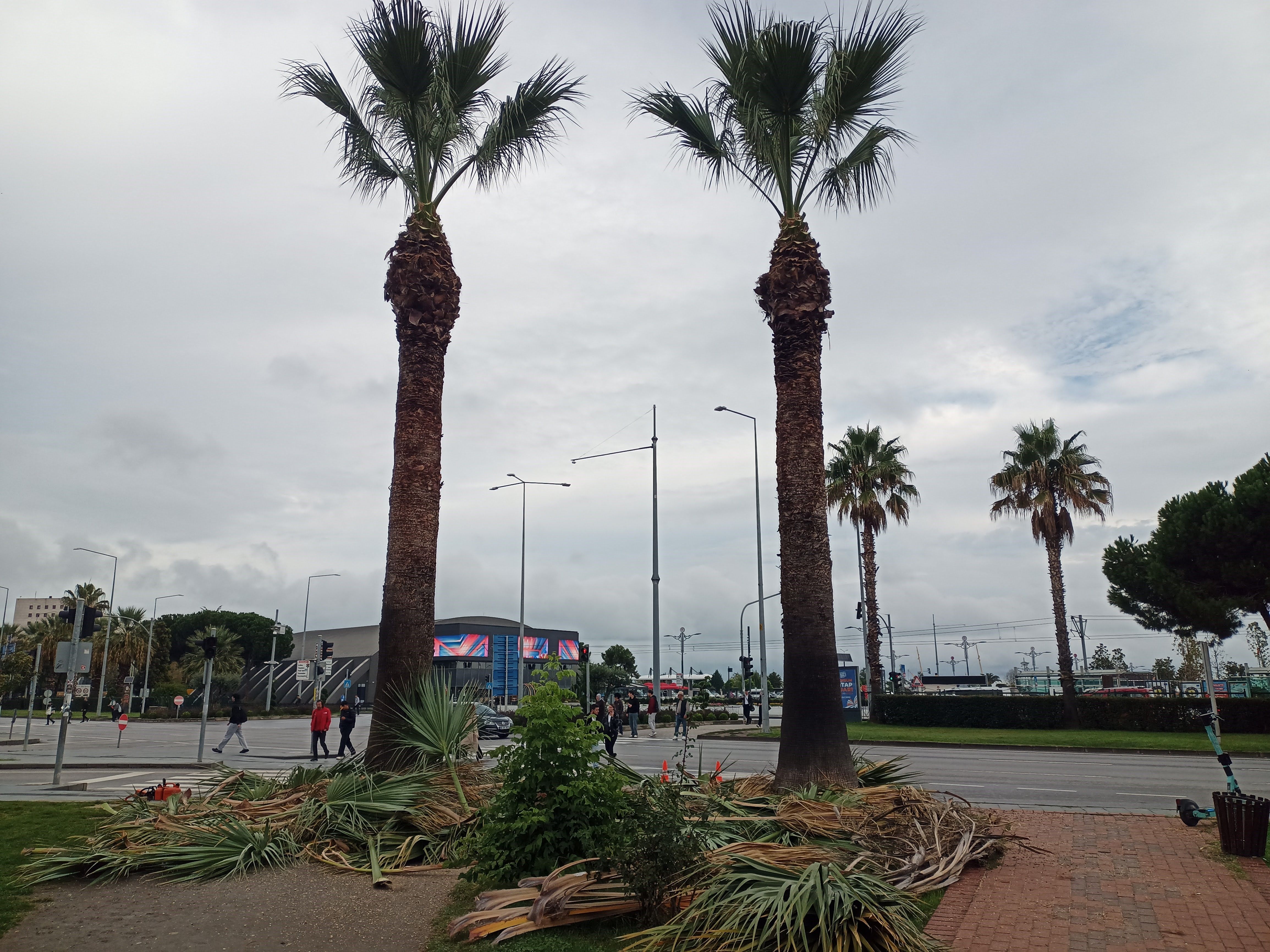 Samsun haber: Samsun Cumhuriyet Meydanı’nda kış hazırlığı yapıldı
