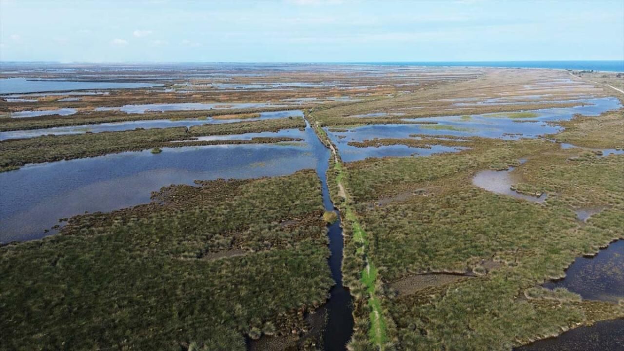 Samsun haber: Samsun’da sonbahar kampı yapılacak 7 yer