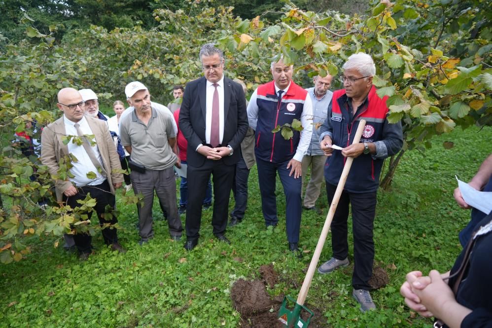 Samsun Haber: Samsun’da fındık üreticisine 1 milyon TL’lik destek