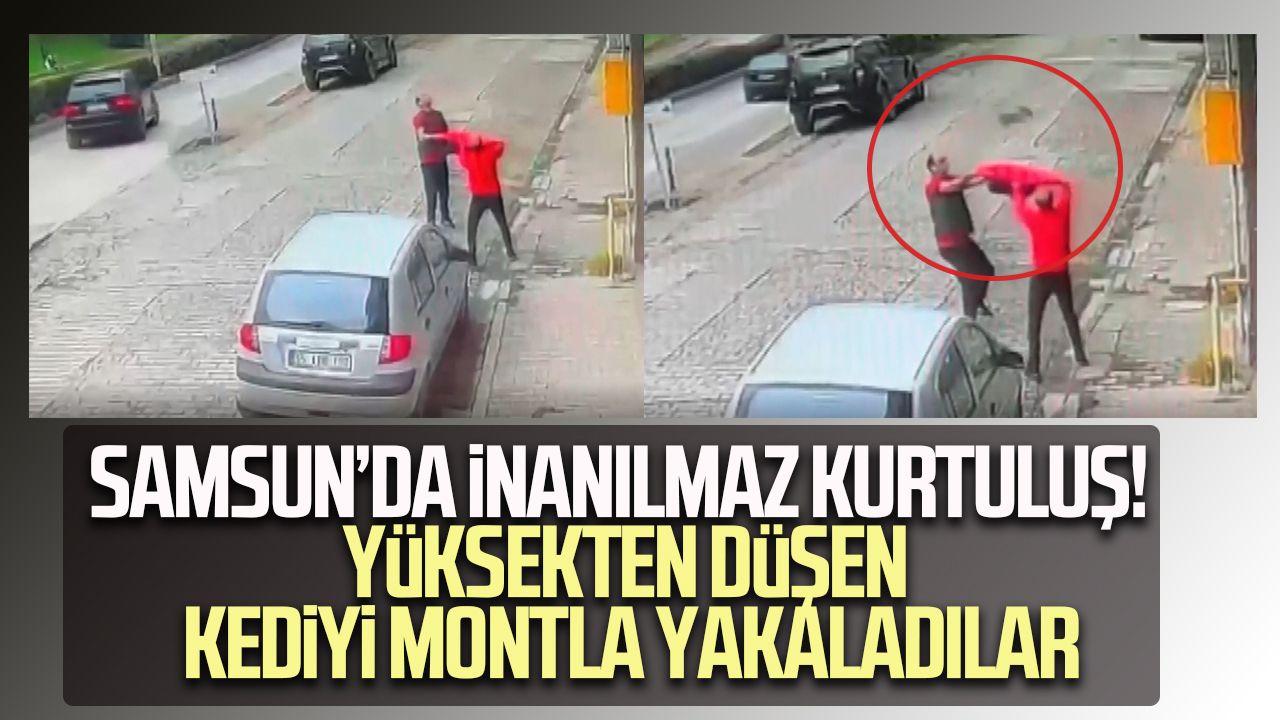 Samsun’da inanılmaz kurtuluş! Yüksekten düşen kediyi montla yakaladılar