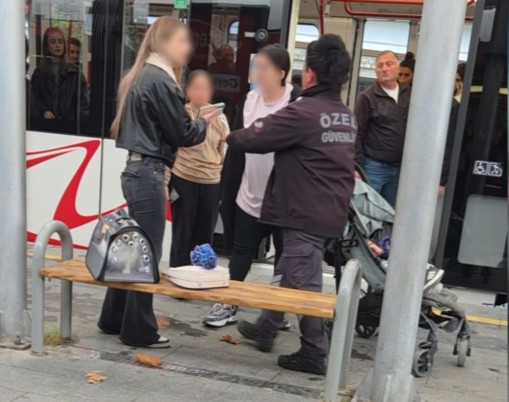 Samsun Haber: Samsun’da kediye tekme attı, ortalık karıştı!