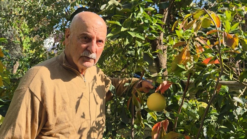 Samsun Haber: Samsun’da olmaz denileni yaptı! Güneydoğu Asya meyvesi yetiştirdi