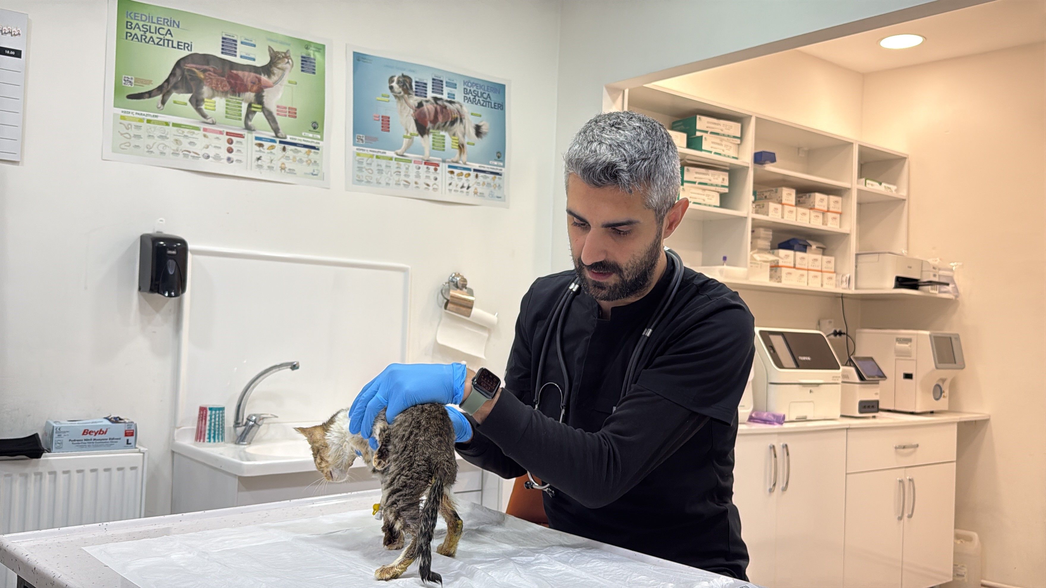 Tokat’taki salgında korkutan gelişme! Kedi ve köpeklerde de görüldü