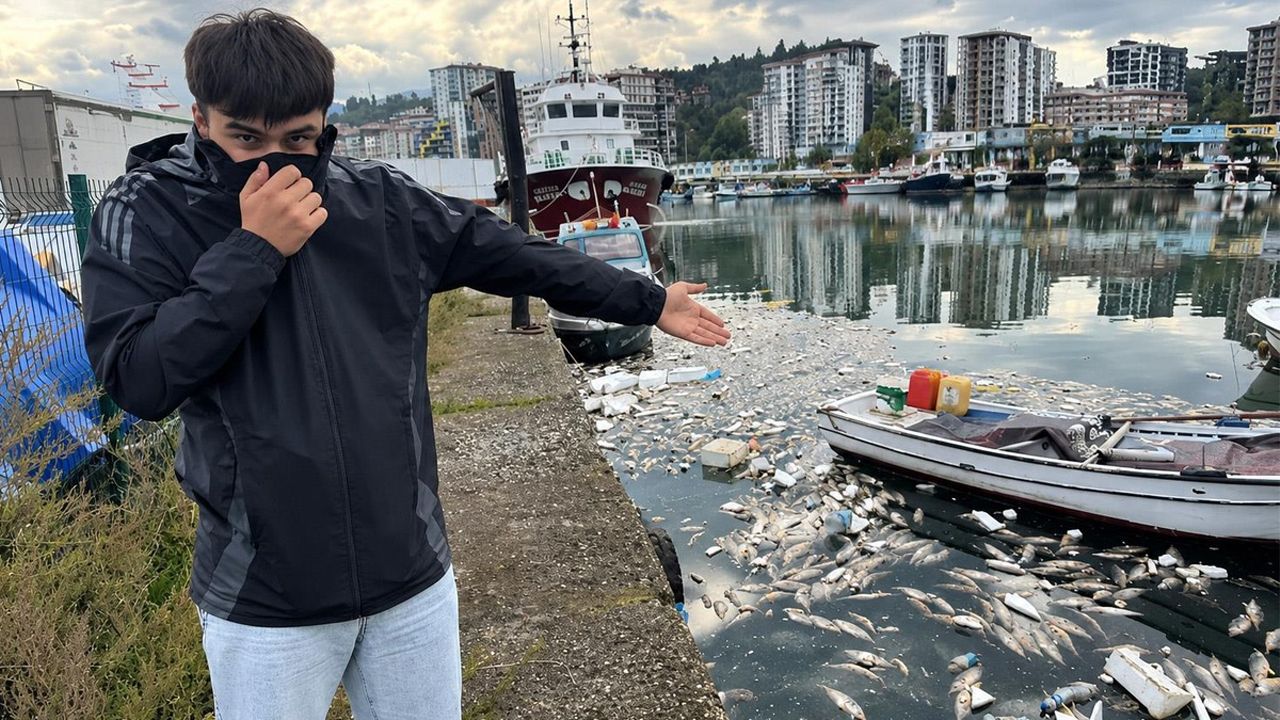 Ucuz palamut tartışmaları sürerken gelen görüntü isyan ettirdi