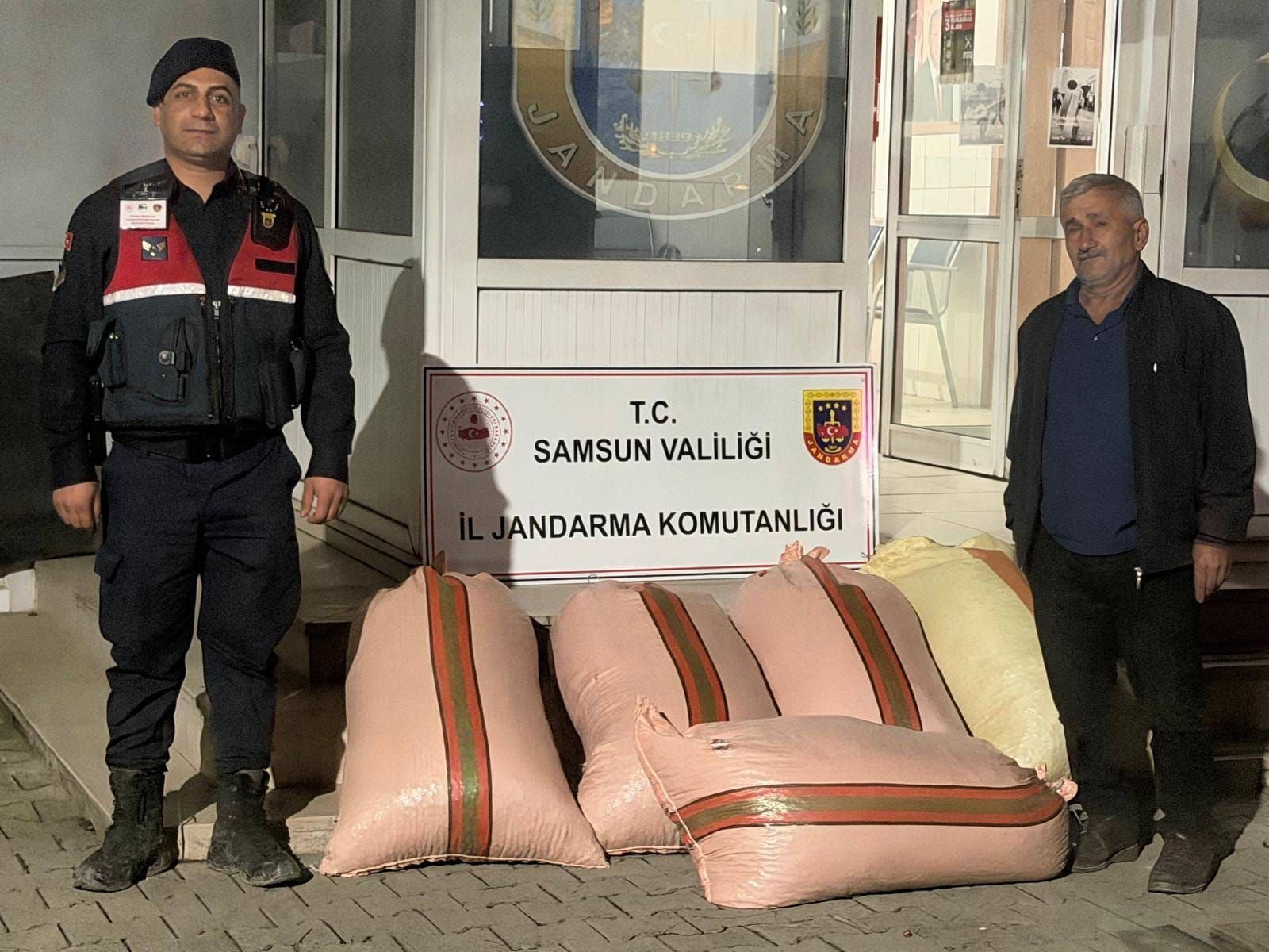 samsun haber: Samsun’da fındık oyunu jandarmaya takıldı!